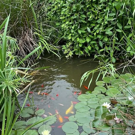 Prázdninový dům De La Andre