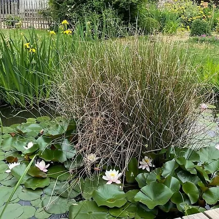 Prázdninový dům De La Andre *