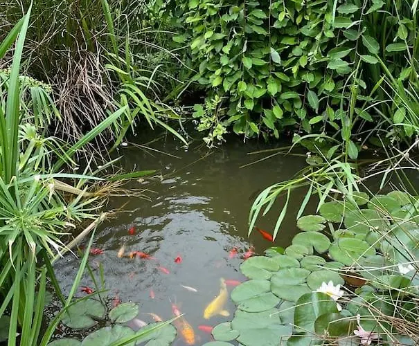 Дом отдыха De La Andre