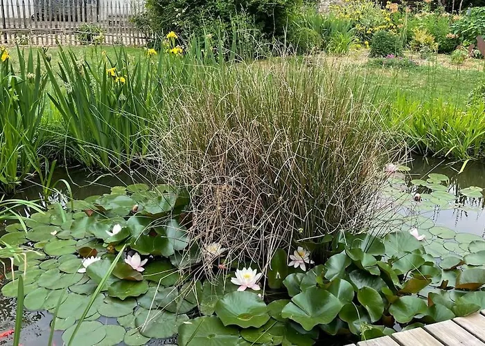 Дом отдыха De La Andre *